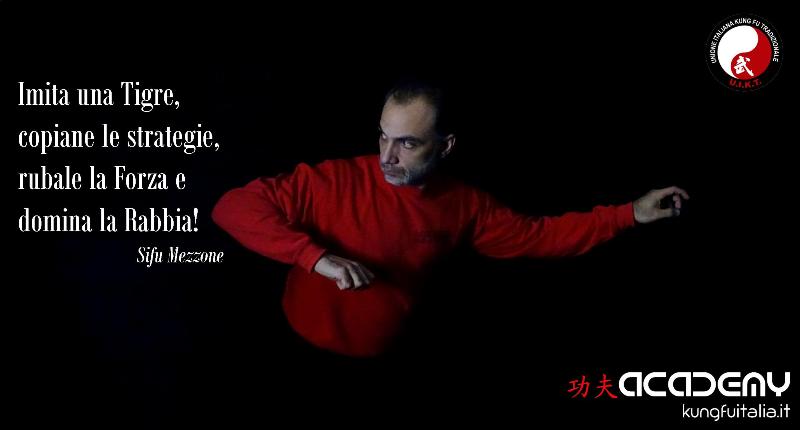 Kung Fu Academy Caserta di Sifu Salvatore Mezzone Accademia di Wing Chun e Tai Chi Quan (1)